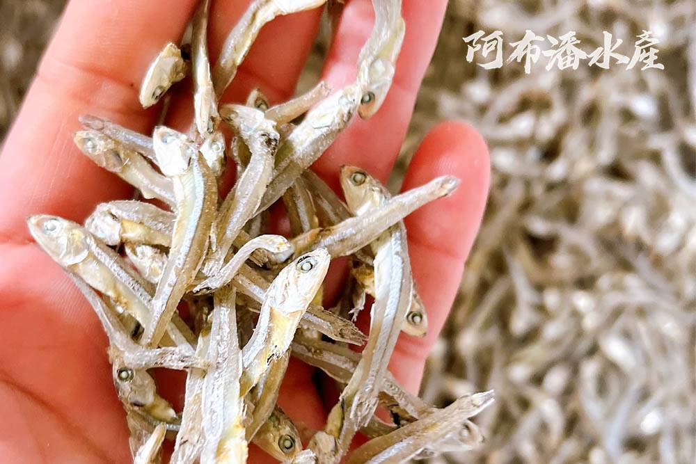 阿布潘水產Seafood Market :: 線上購物:: 新品上市